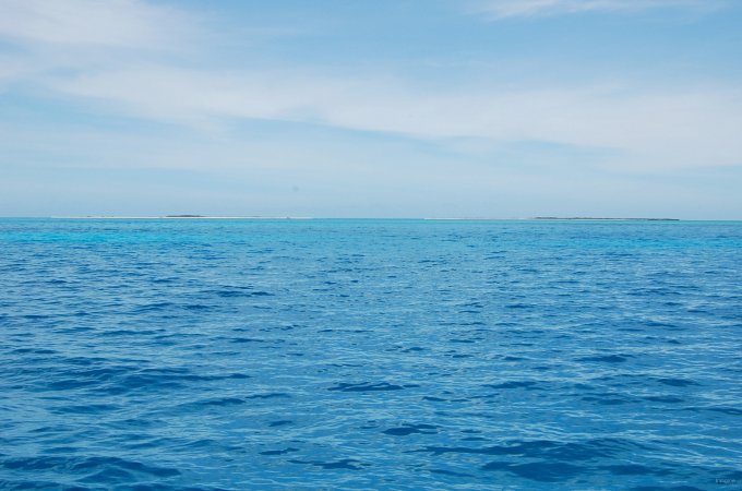 42- Las Tortuguillas 